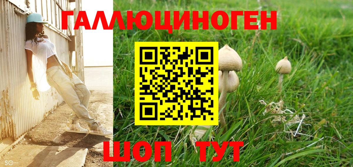 Галлюциногенные грибы Magic Shrooms  Псилоцибиновые грибы Psilocybine cubensis  Сыктывкар  Вход с VPN 